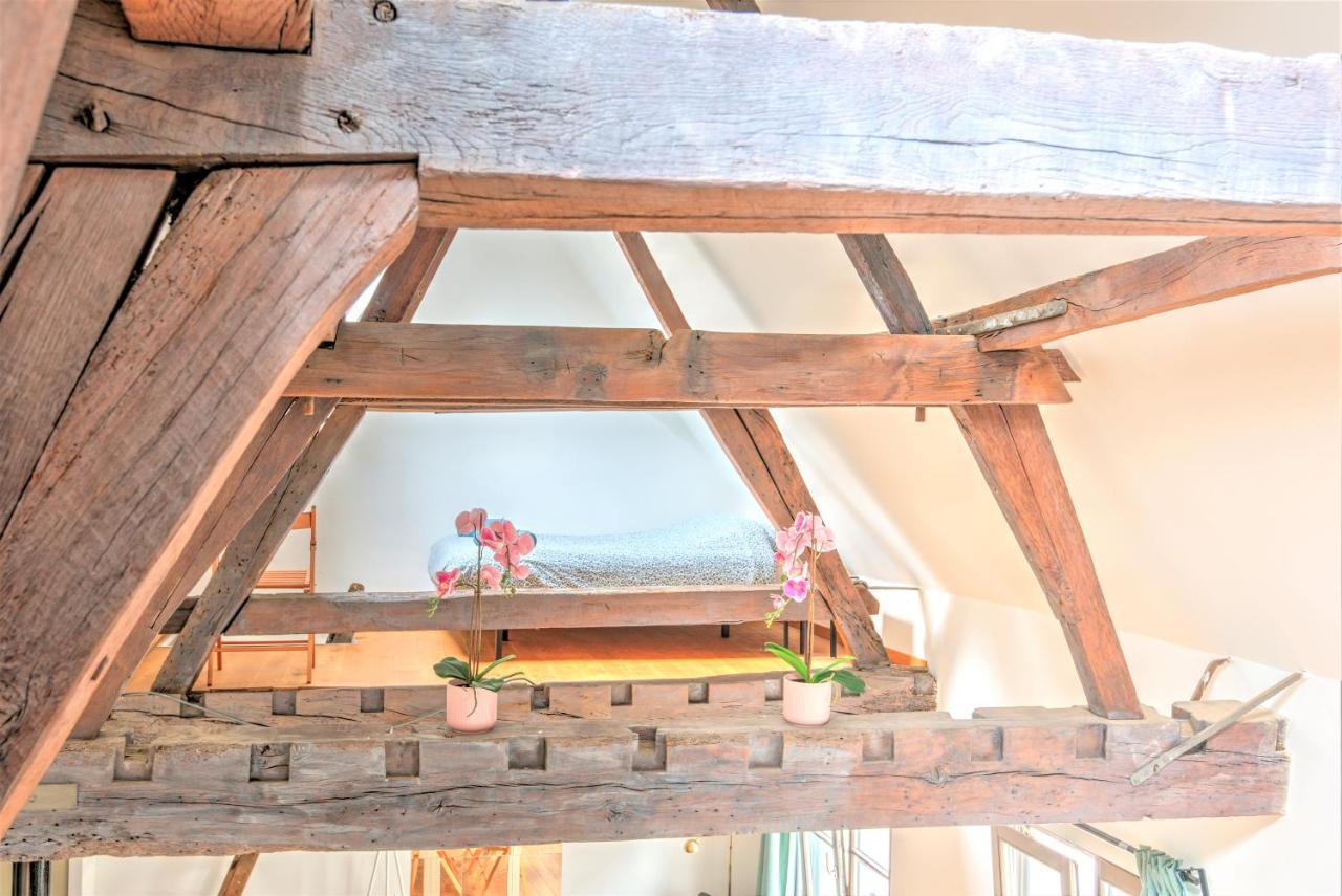 Tempel Triplex & Duplex At Historic Heart Of Antwerp 아파트 외부 사진